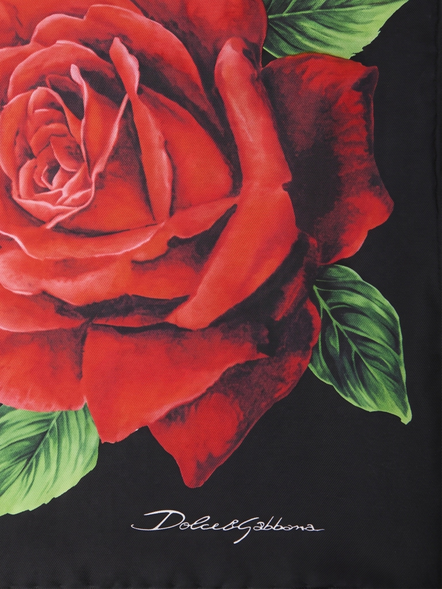 [DOLCE&GABBANA] Scarf FW26 FN092R_GDDW2_HN6EJ