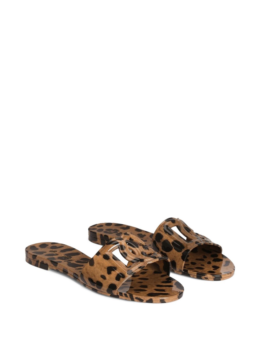 DOLCE & GABBANA CW2215 A0017HY13M