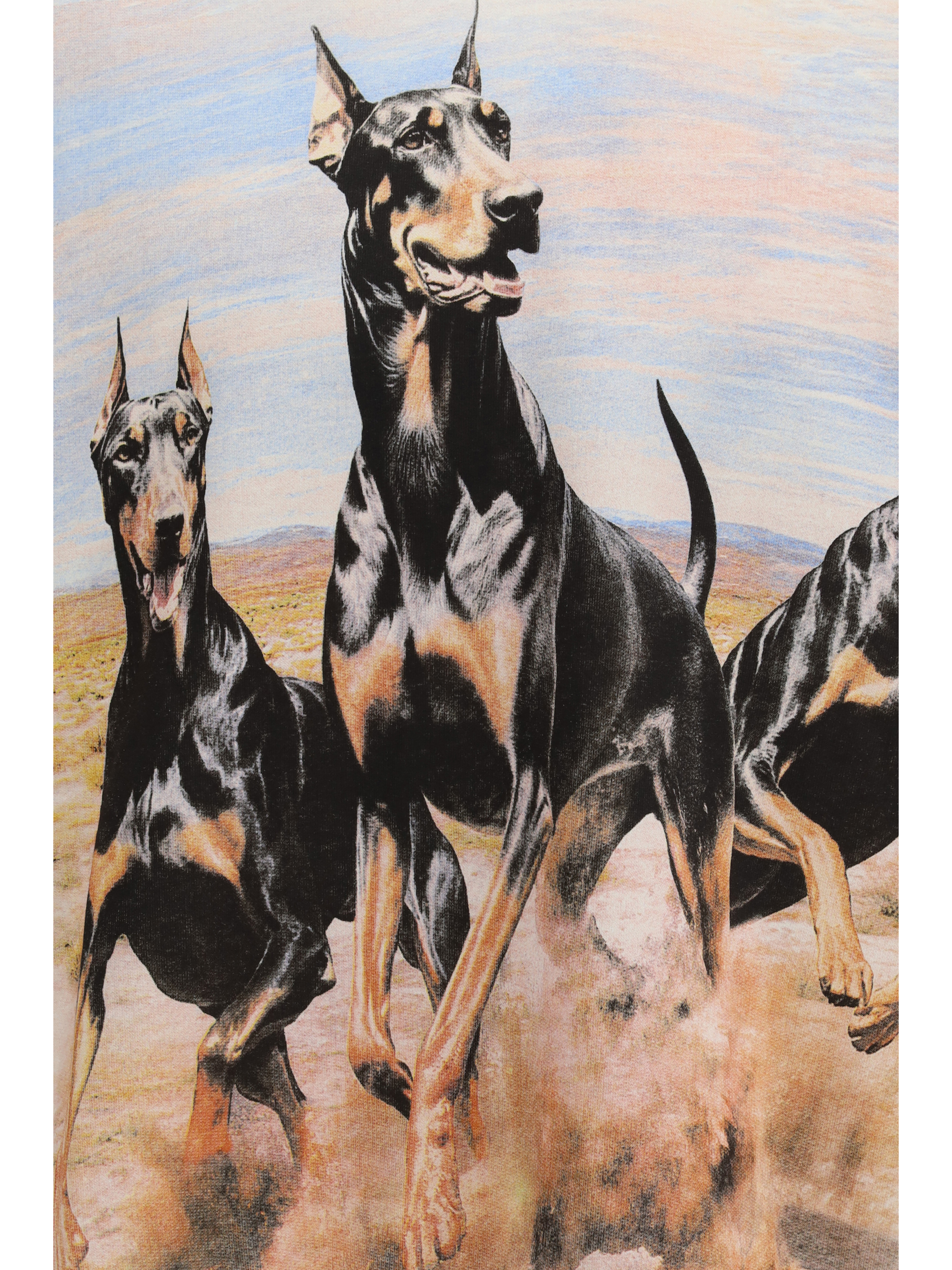 Western Dobermans Hoodie