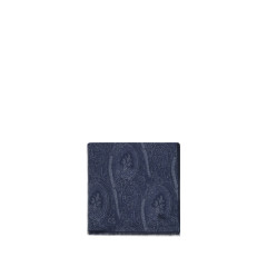 Paisley Scarf