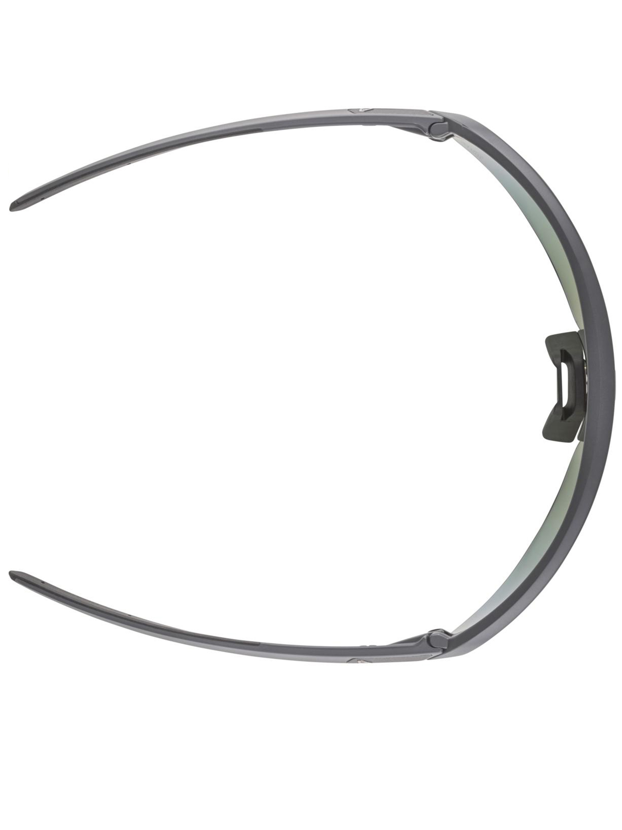 [ALPINA] Sunglasses FW26 A8749
