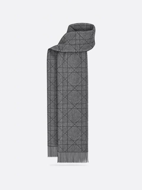 [Christian Dior] Scarf FW26 61E0004A0016