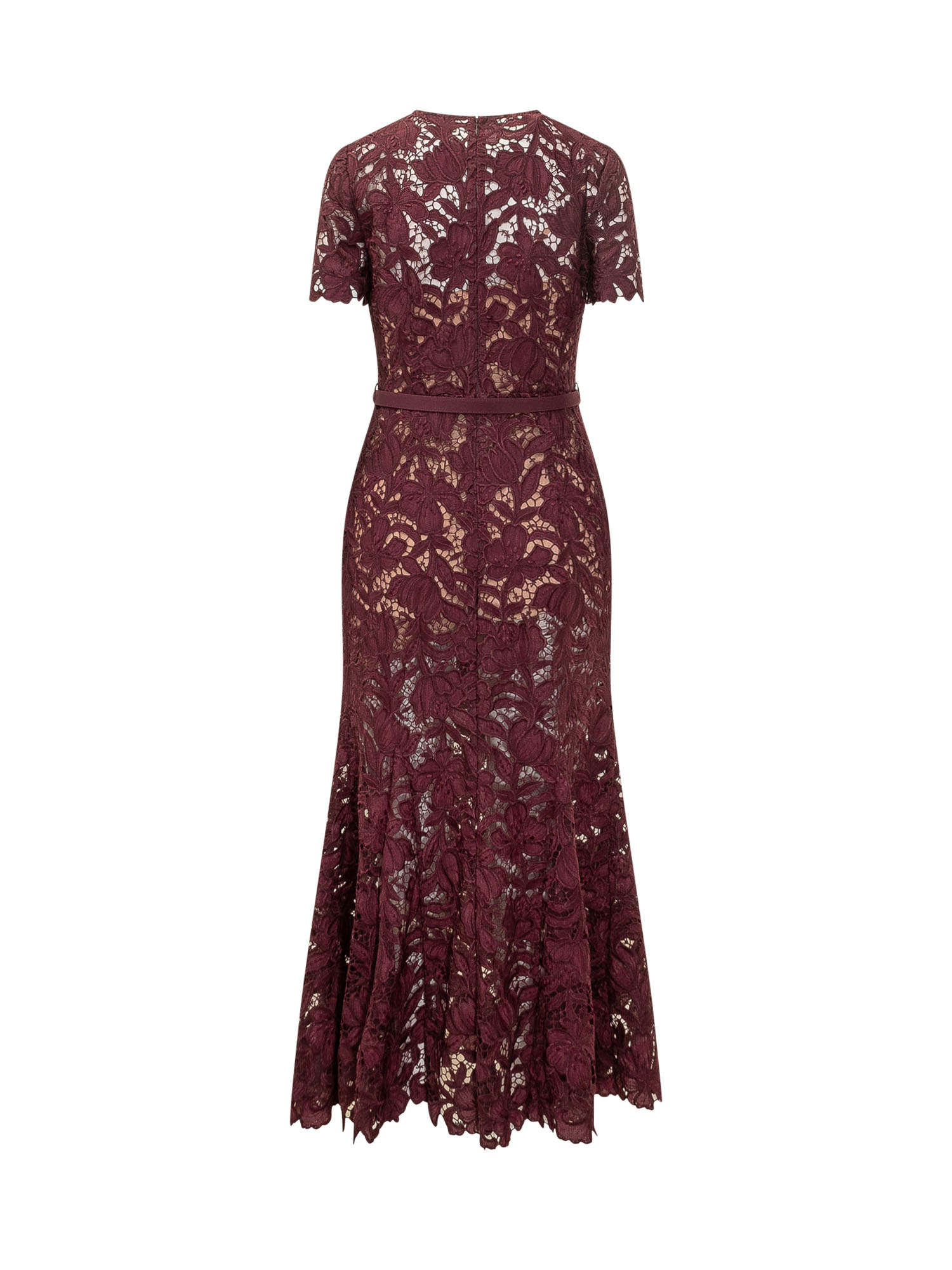 [Self-portrait] Short sleeve dress FW26 PF26107MBU BURGUNDY