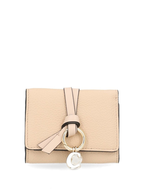 [CHLOE'] Wallet CO CHC21WP946F576J5