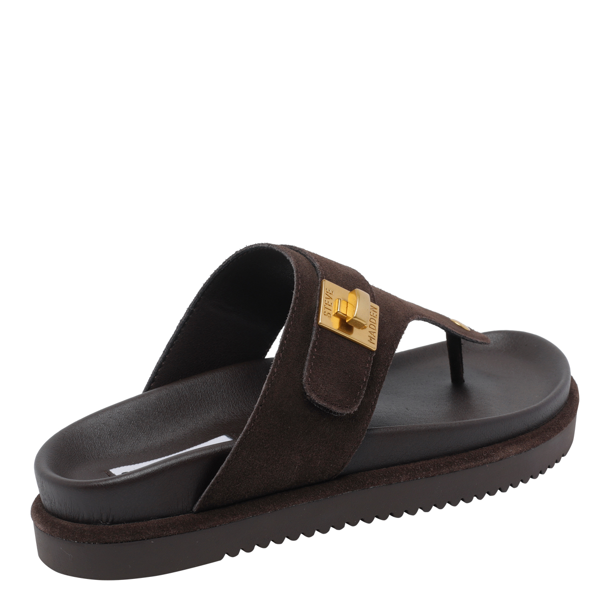 [Steve Madden] Slippers SS26 TUNEDCHOCOLATE BROWN