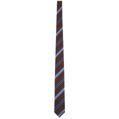 [Ferragamo] Tie SS26 789285_351357004