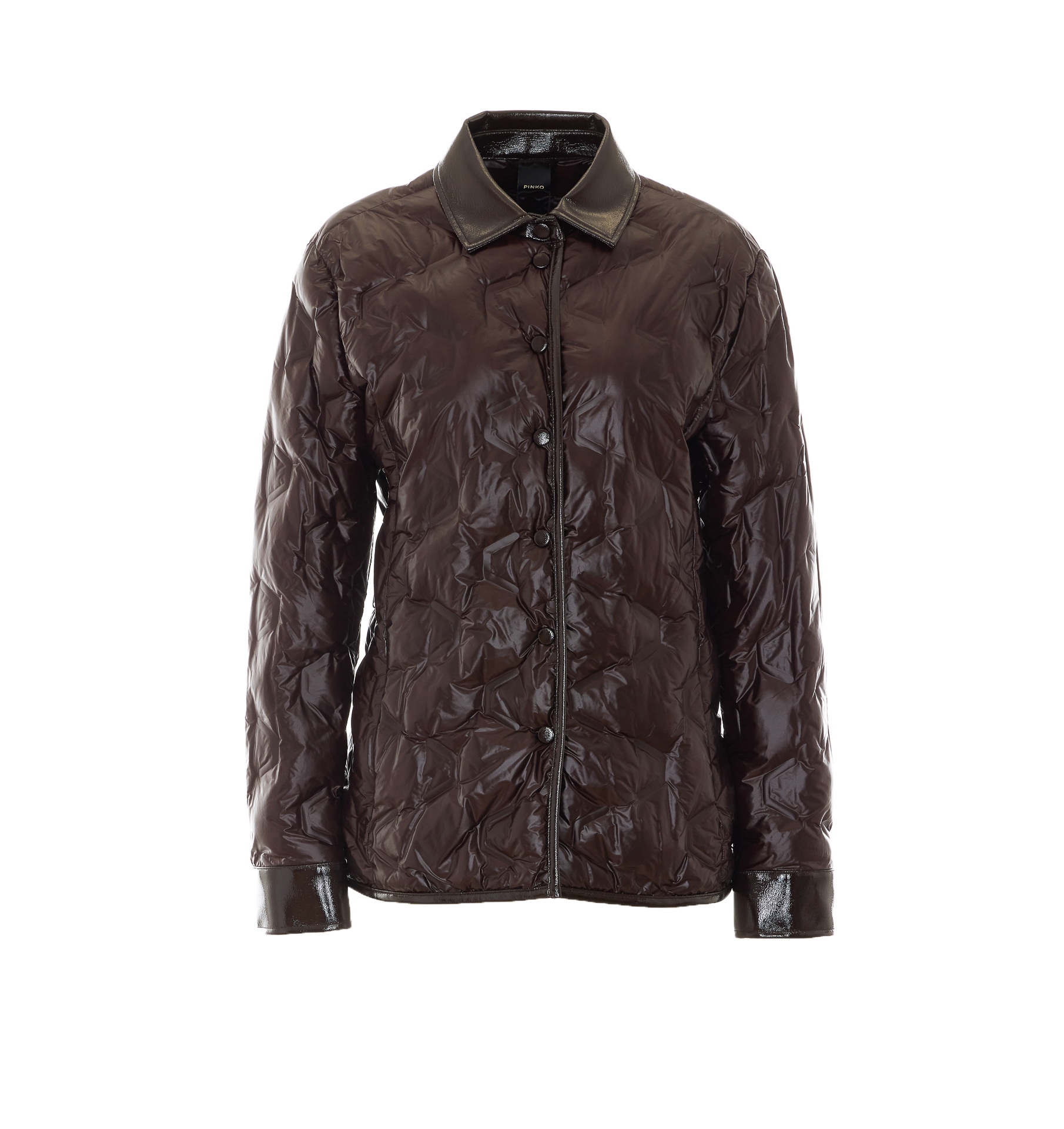 [PINKO] Down jacket FW26 107163A3FIL72