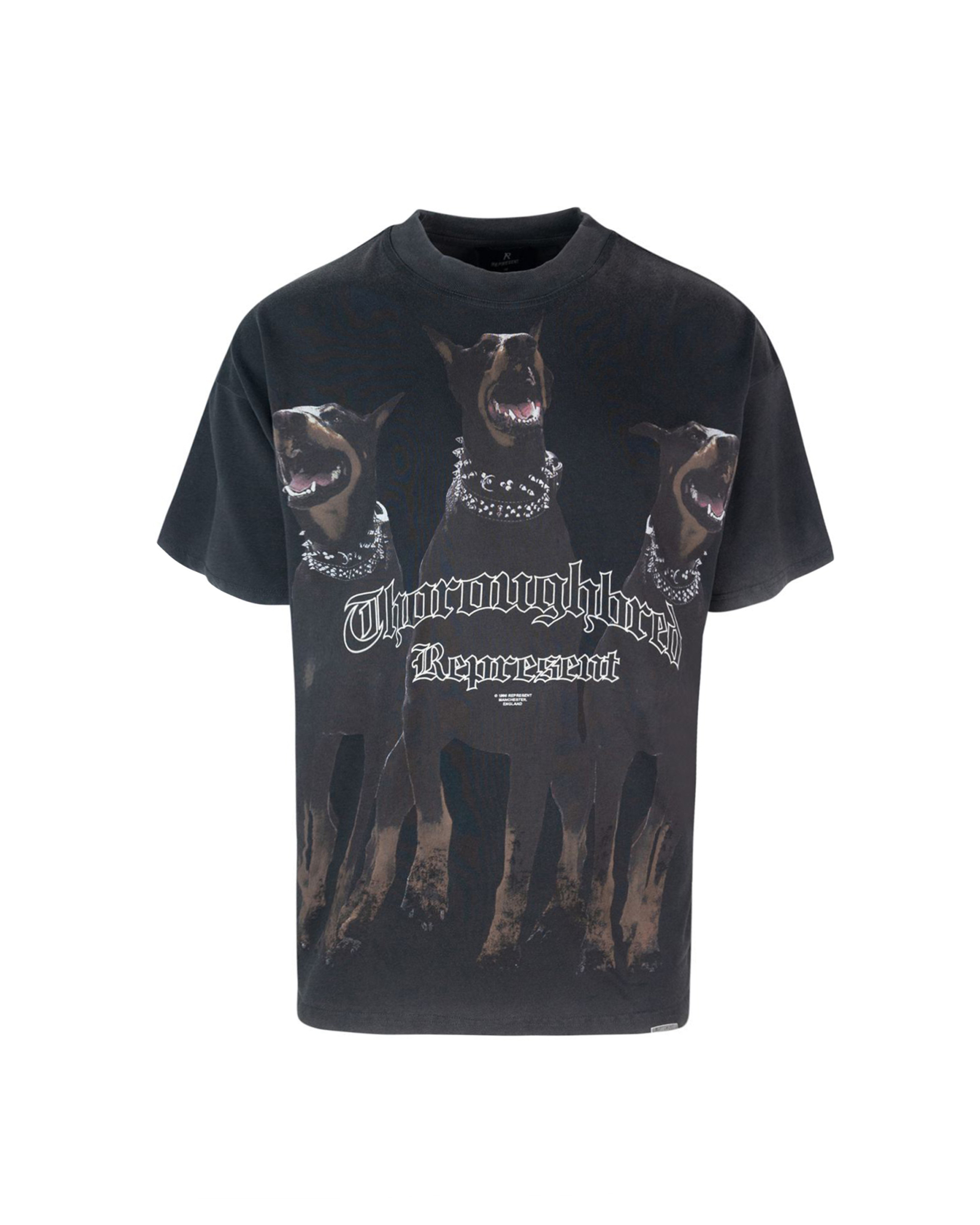 [Represent] T-shirts Short Sleeve SS26 MLM41135003