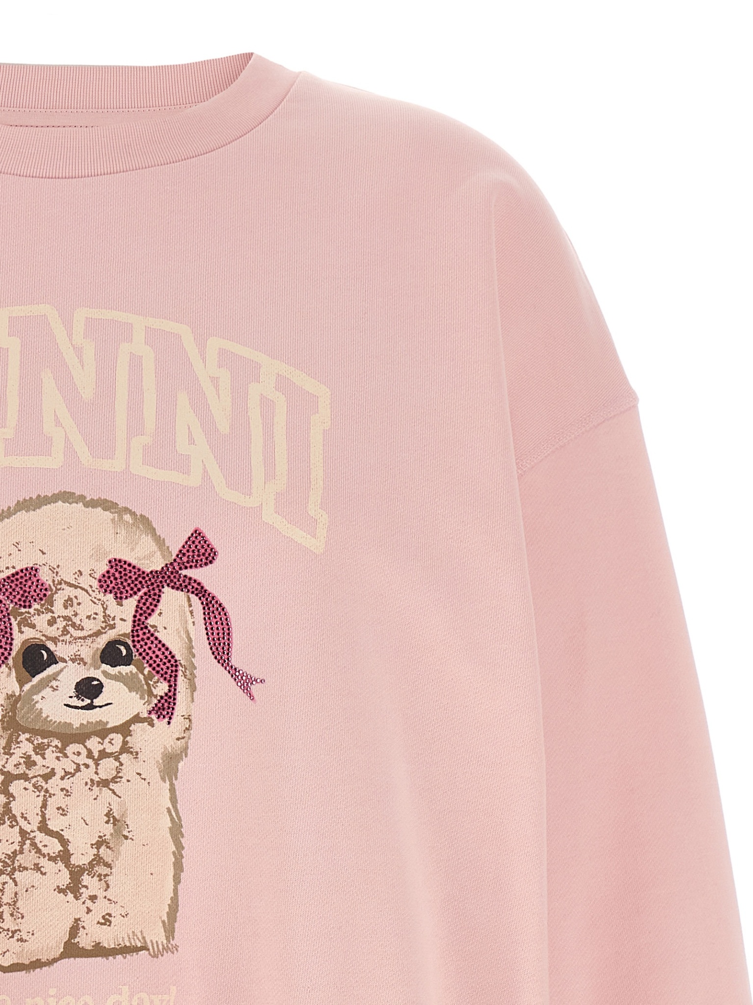 [GANNI] Sweatshirt SS26 A1060026868