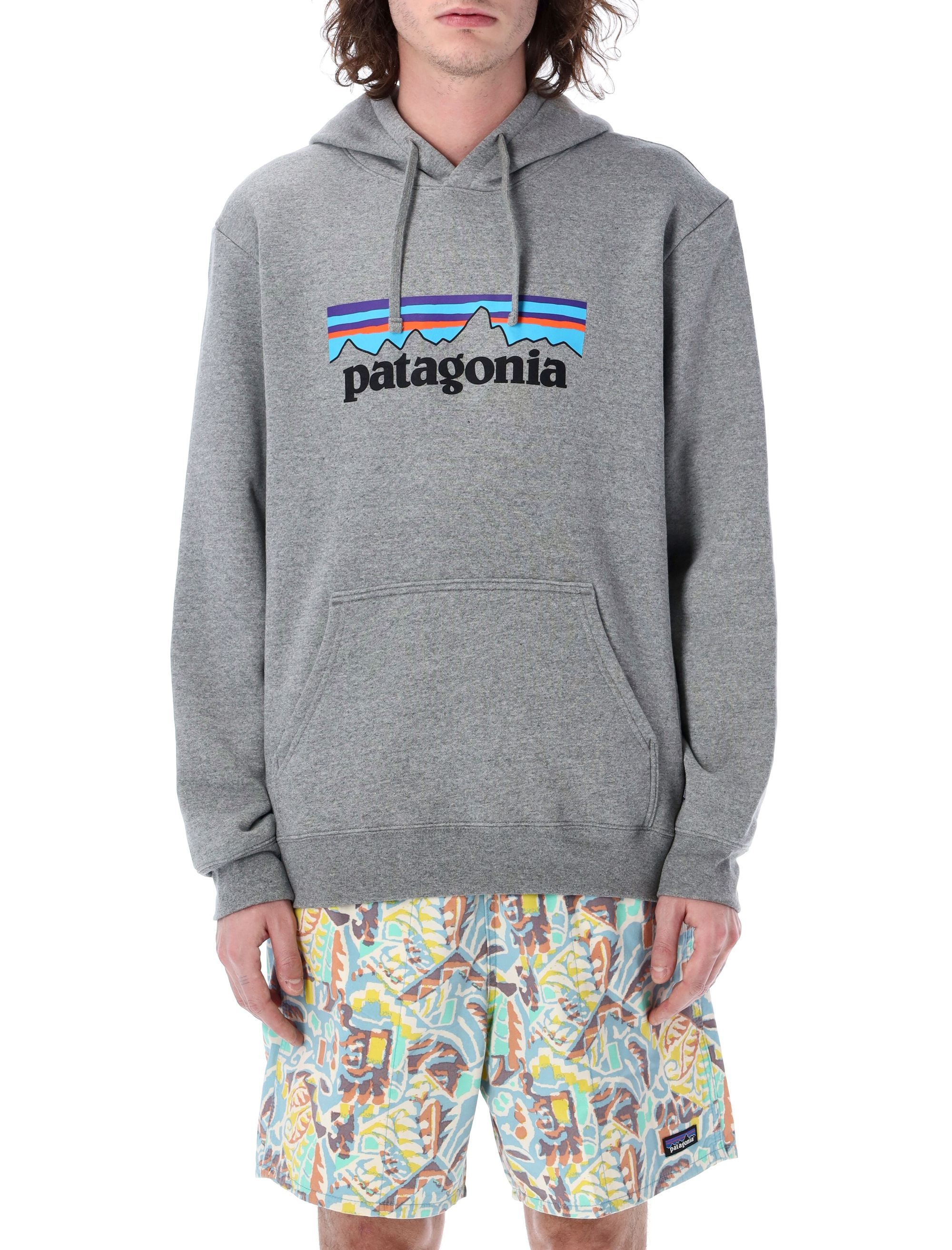 [Patagonia] Hoodie FW26 39622GLH