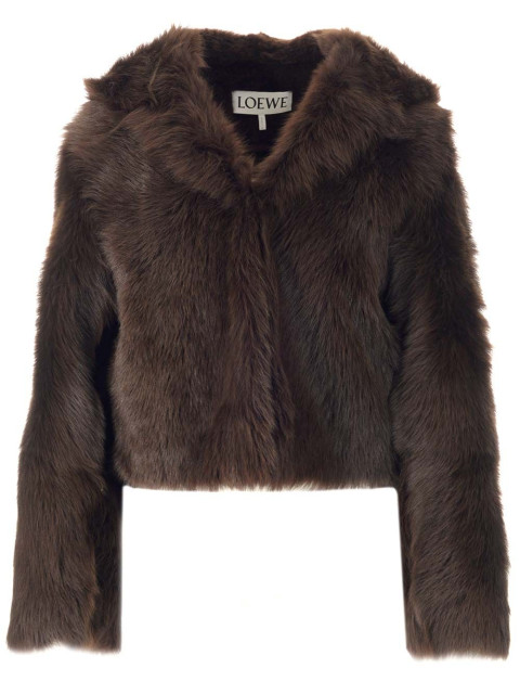 [Loewe] Casual Jacket FW22 S540Y19L273110