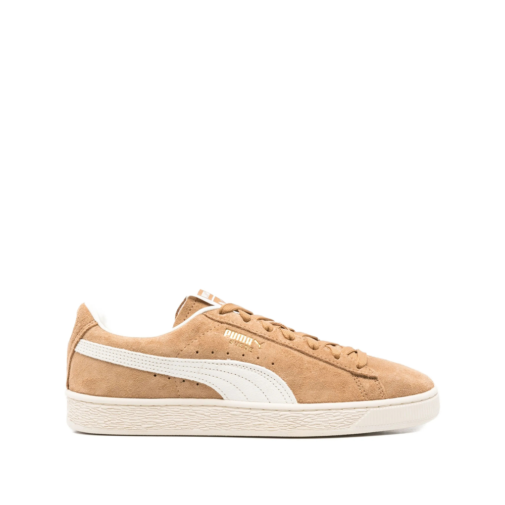 [PUMA] Sneakers SS26 403767-03  BUTTE