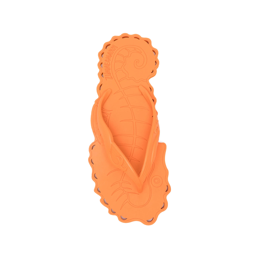 [Zimmermann] Slippers FW26 7434FS26A2  PAPAY