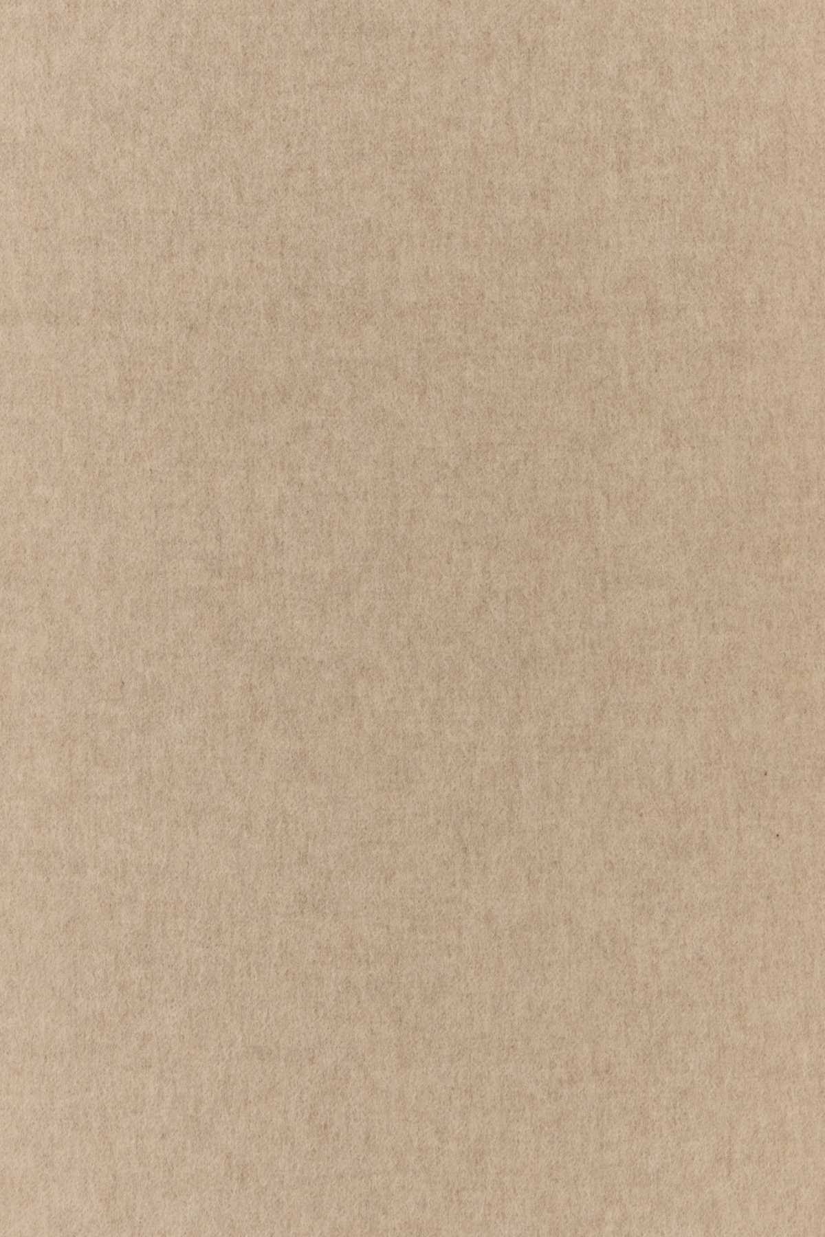 [Max Mara] Scarf FW26 2624546311600 003