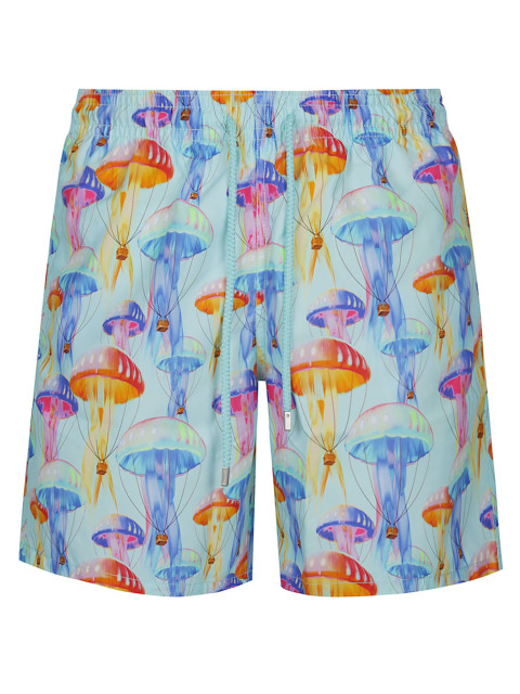 [VILEBREQUIN] Swim Pants SS26 MOOEB104