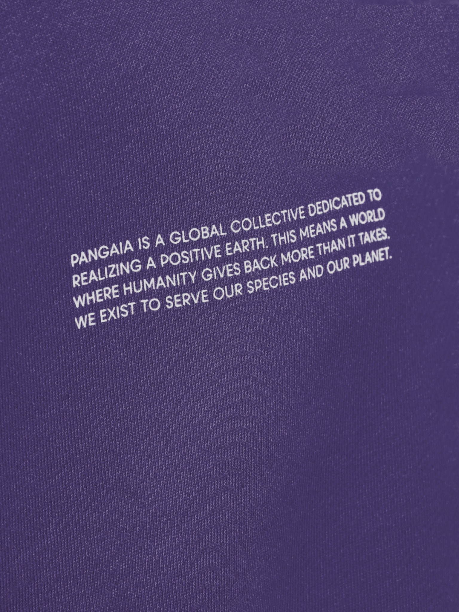[PANGAIA] Sweatshirt FW25 10000183SLATE BLUE