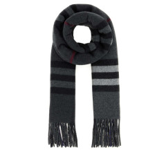 [Burberry] Scarf FW26 8117706 C3384