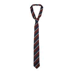[THE FRANKIE SHOP] Fashion Accessory SS26 NTFS21170711BURGUNDY
