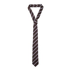 [THE FRANKIE SHOP] Fashion Accessory SS26 NTFS21170200BROWN