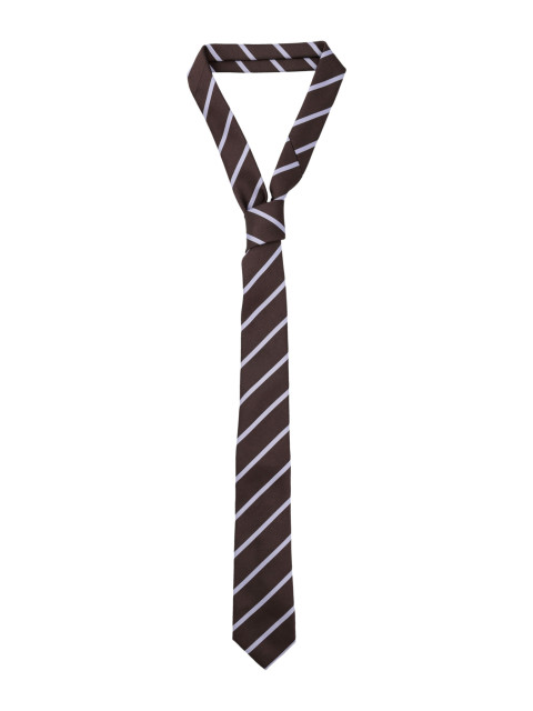 [THE FRANKIE SHOP] Fashion Accessory SS26 NTFS21170200BROWN