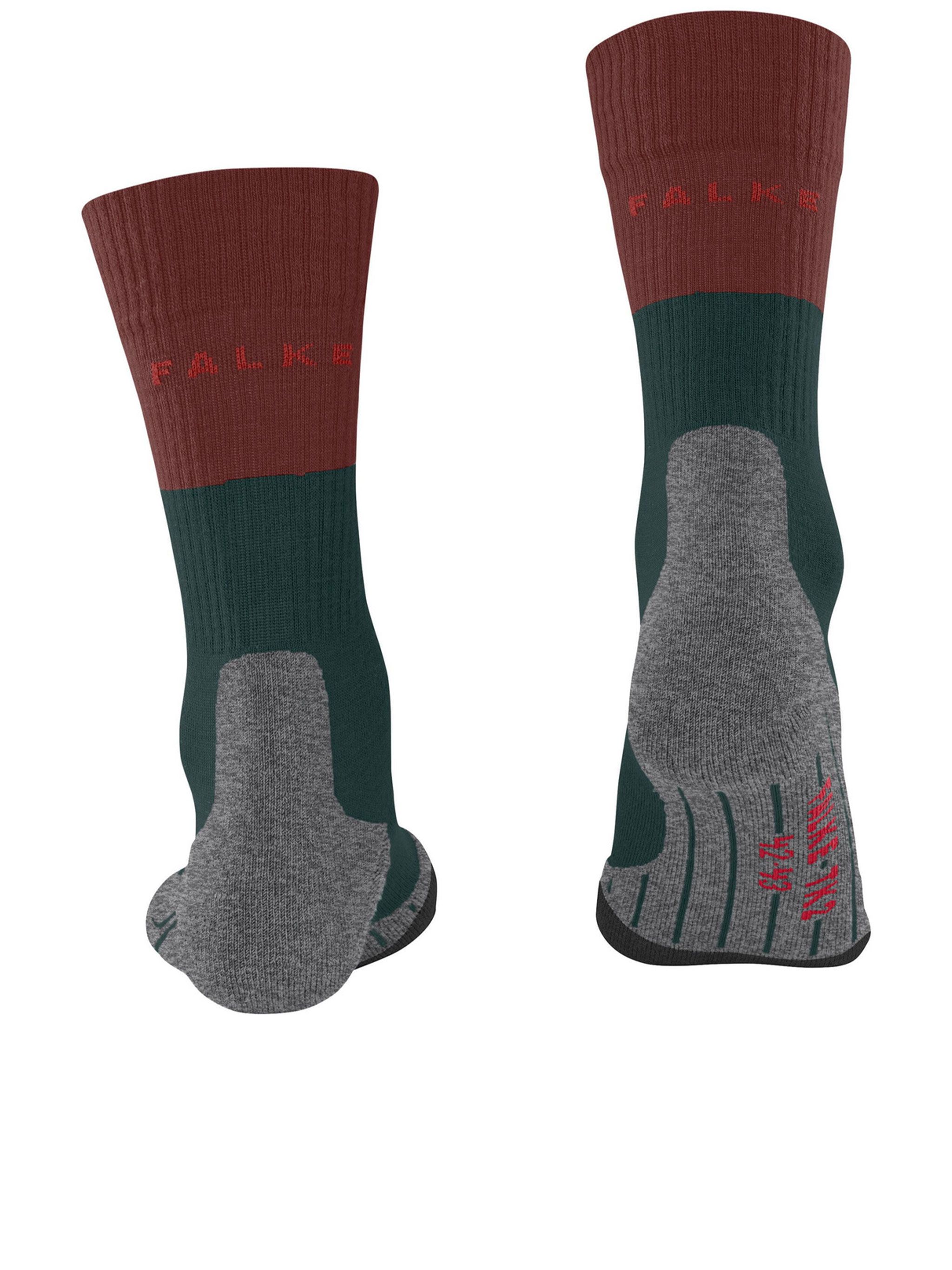 [FALKE] Socks SS26 16474