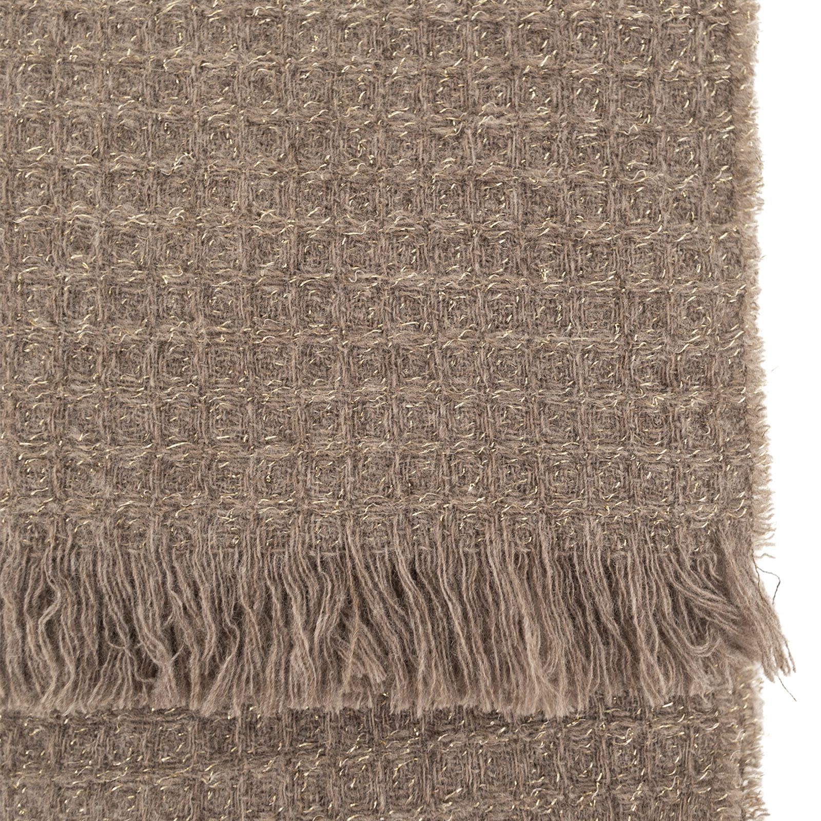 [Fabiana Filippi] Scarf FW26 SAD216A874M526 0165
