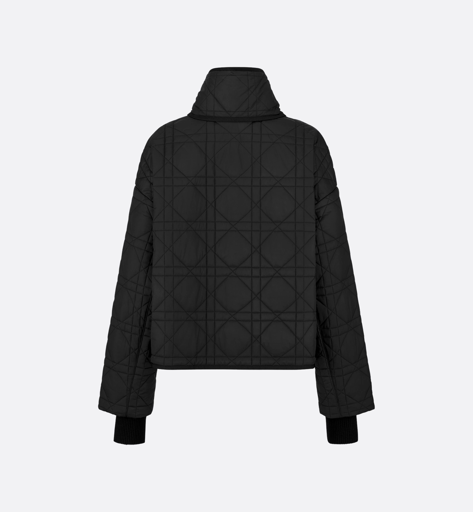 [Christian Dior] Coat SS26 617C46A2827