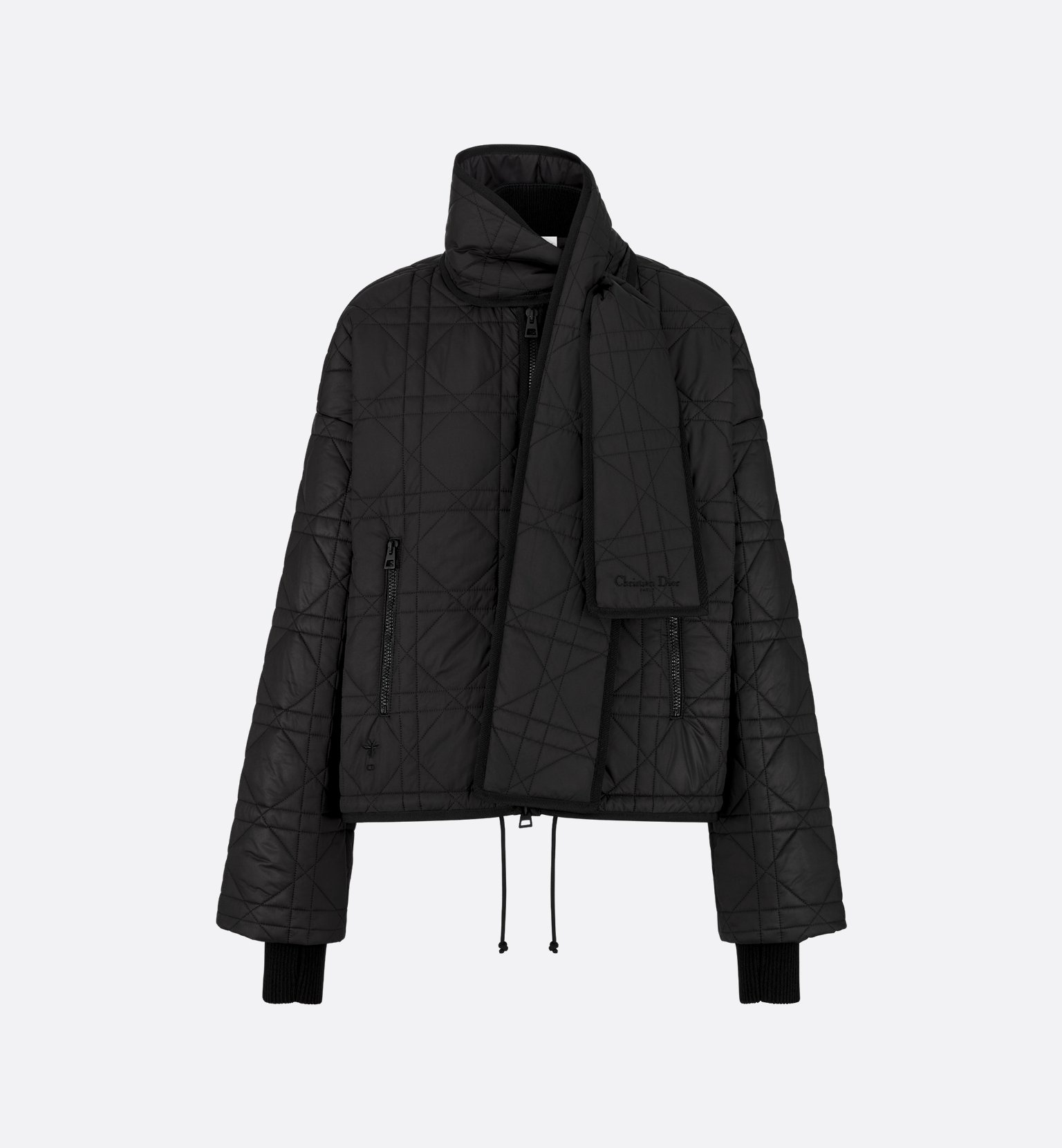[Christian Dior] Coat SS26 617C46A2827