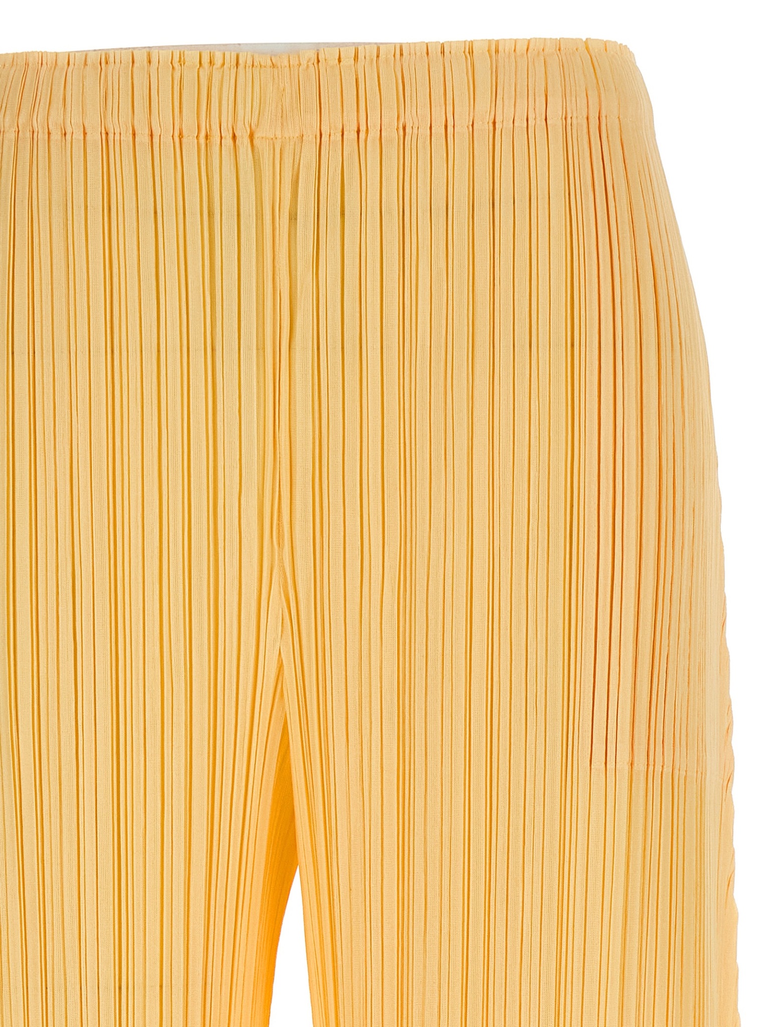 [PLEATS PLEASE ISSEY MIYAKE] Pants FW25 PP58JF28330