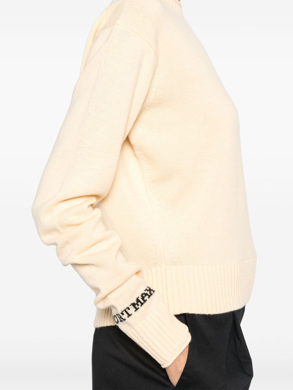 [SPORTMAX] Knitwear FW24 22366022600001