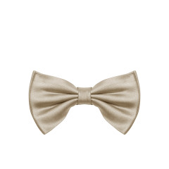 [NICKY] Tie FW26 GALLECUBOACHAMPAGNE