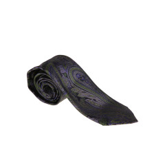 [Etro] Tie FW25 MASA0001 AQ221