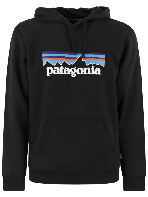 [Patagonia] Hoodie CO 39622 BLK