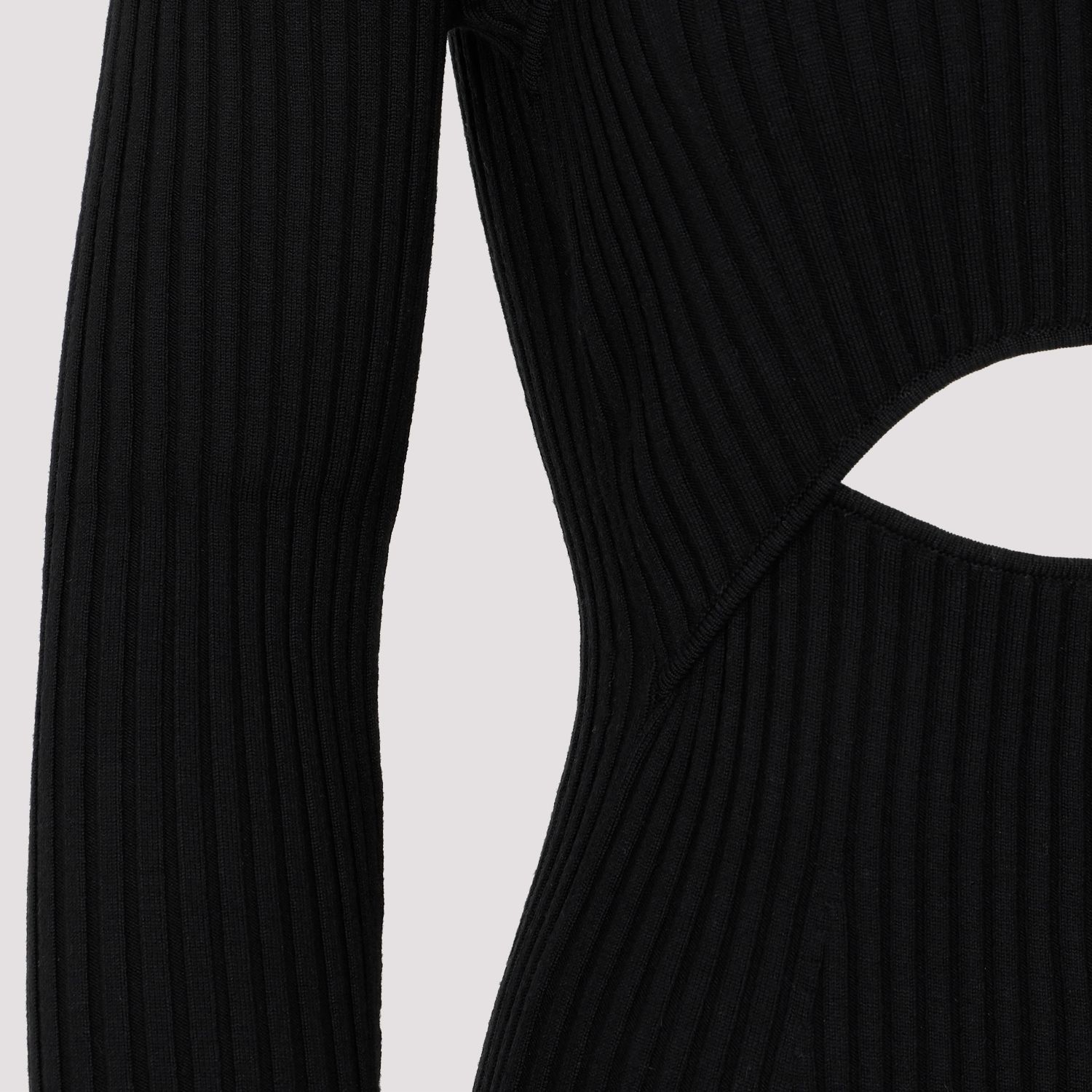 [JONATHAN SIMKHAI X WOLFORD] Long sleeve dress FW23 053291