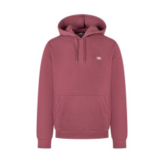 [DICKIES] Hoodie FW25 DK0A4XCDL161 L161