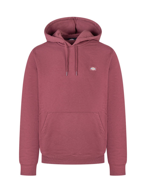 [DICKIES] Hoodie FW25 DK0A4XCDL161 L161