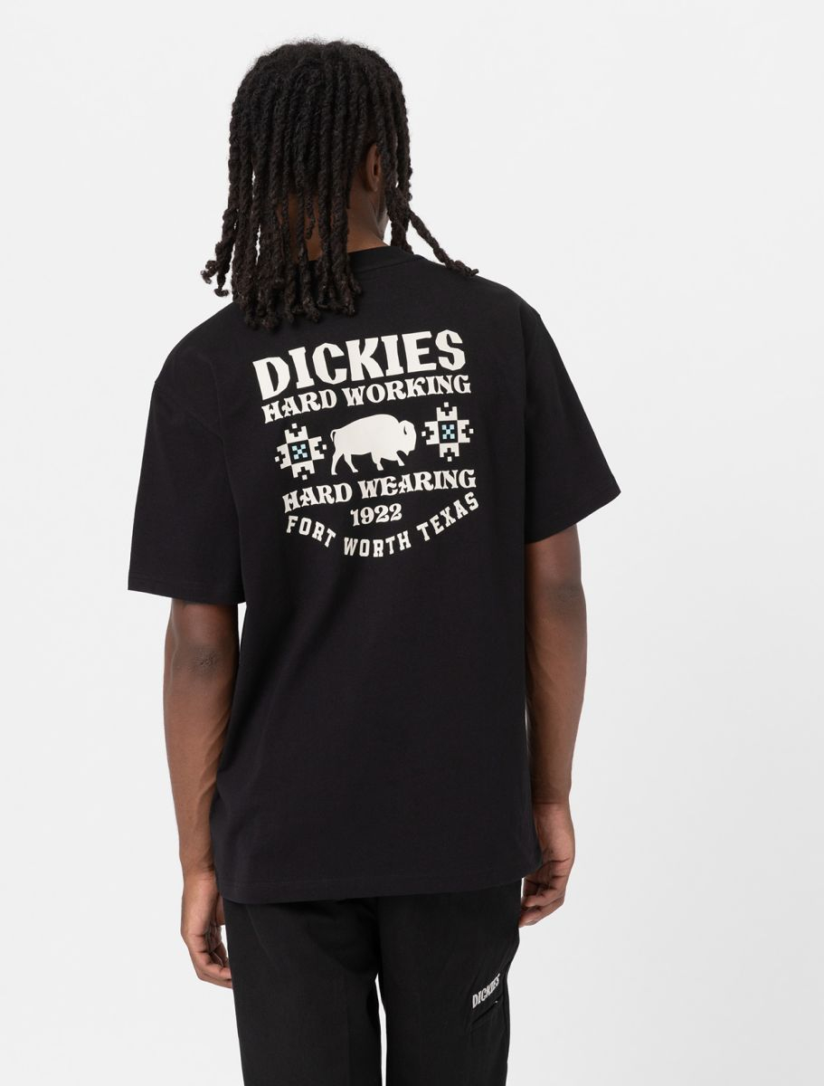 [DICKIES] T-shirts Short Sleeve FW23 DK0A4YGGBLK1