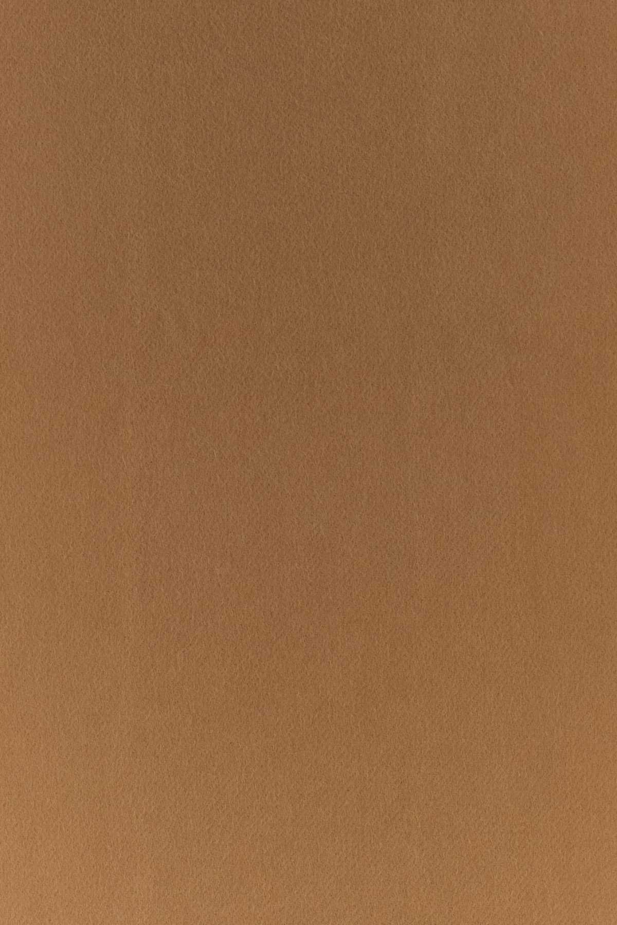 [Prada] Scarf FW25 1FS0552COO F045Y