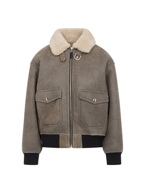 [Celine] Leather Jacket FW25 2EB60674R