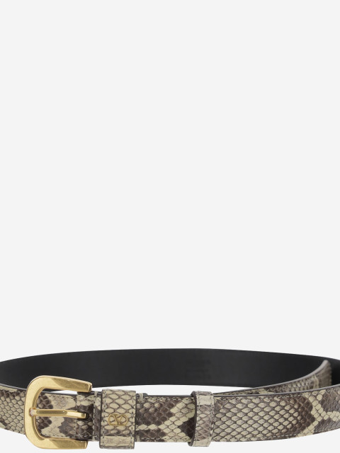[Valentino Garavani] Belt SS25 6W2T0SM1RCJ246