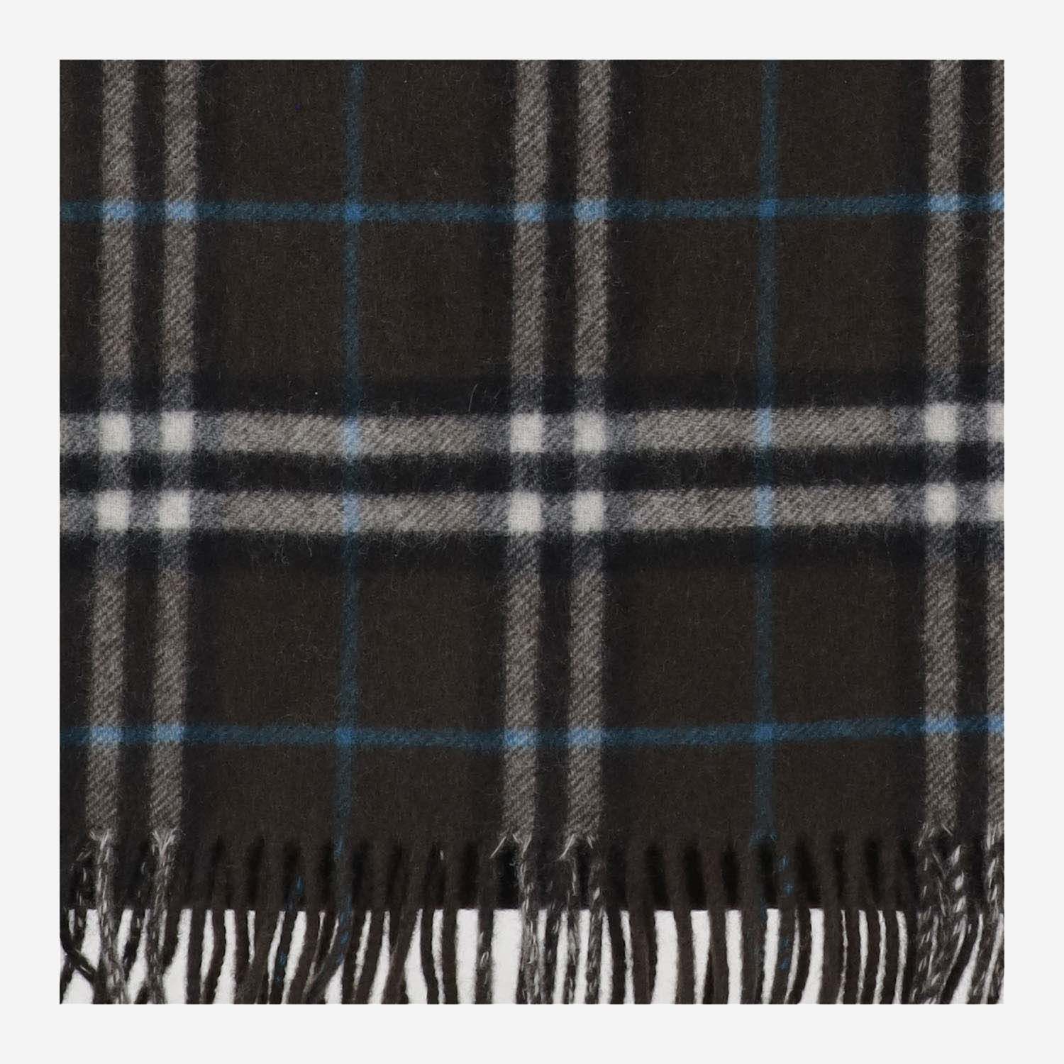[Burberry] Scarf FW24 8090907C1170
