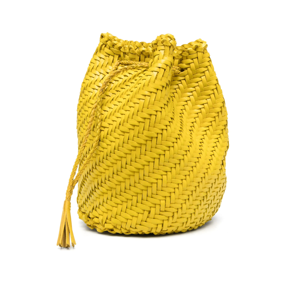 Bag Dragon Diffusion