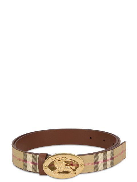 Belt with golden buckle
