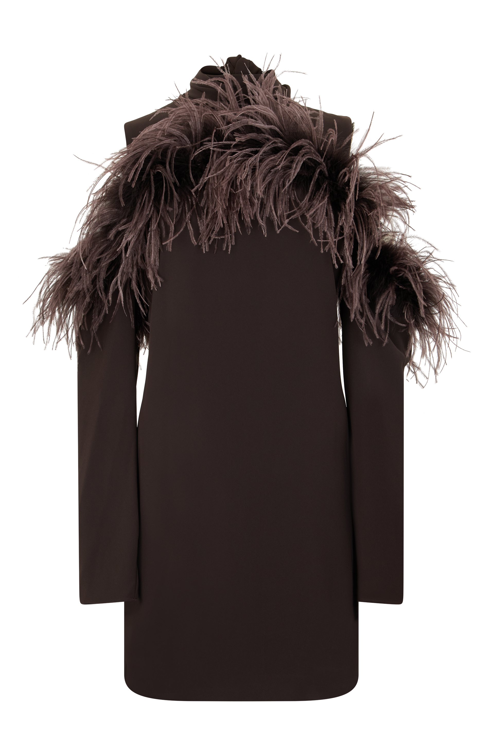 Dress with feathers