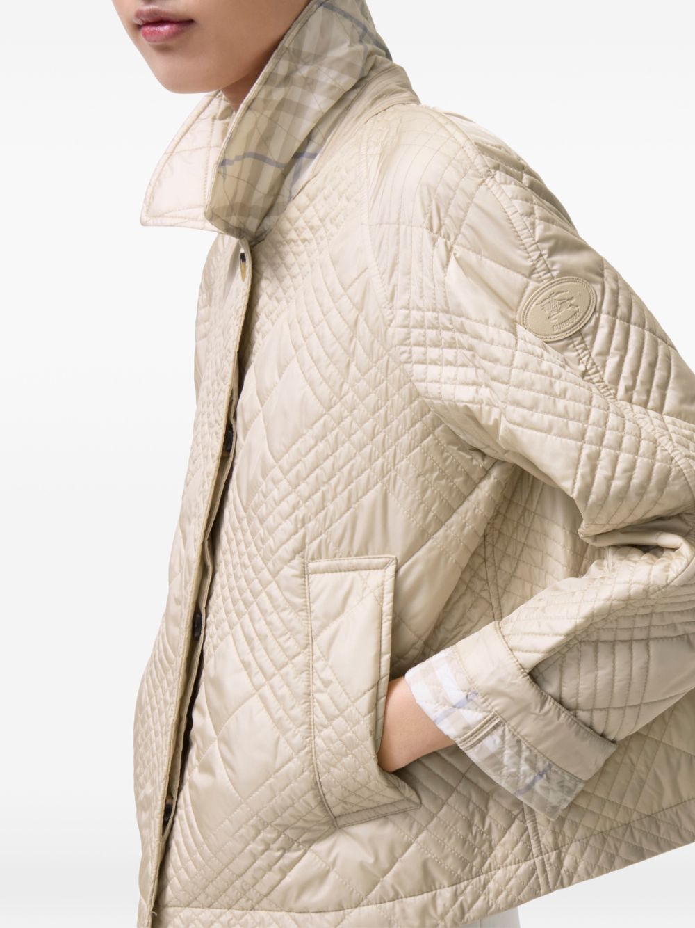 BURBERRY 8123878 C2246