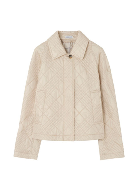 BURBERRY 8123878 C2246
