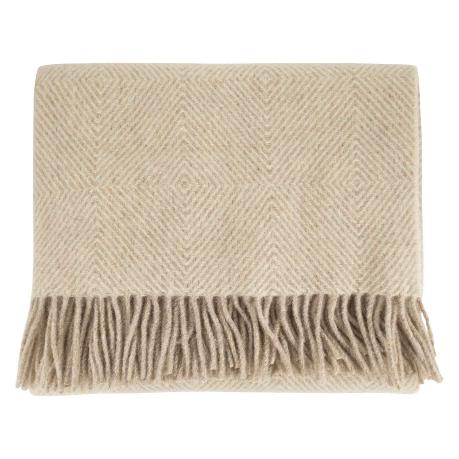 [Fabiana Filippi] Scarf FW26 SAD226A963M580 VR1