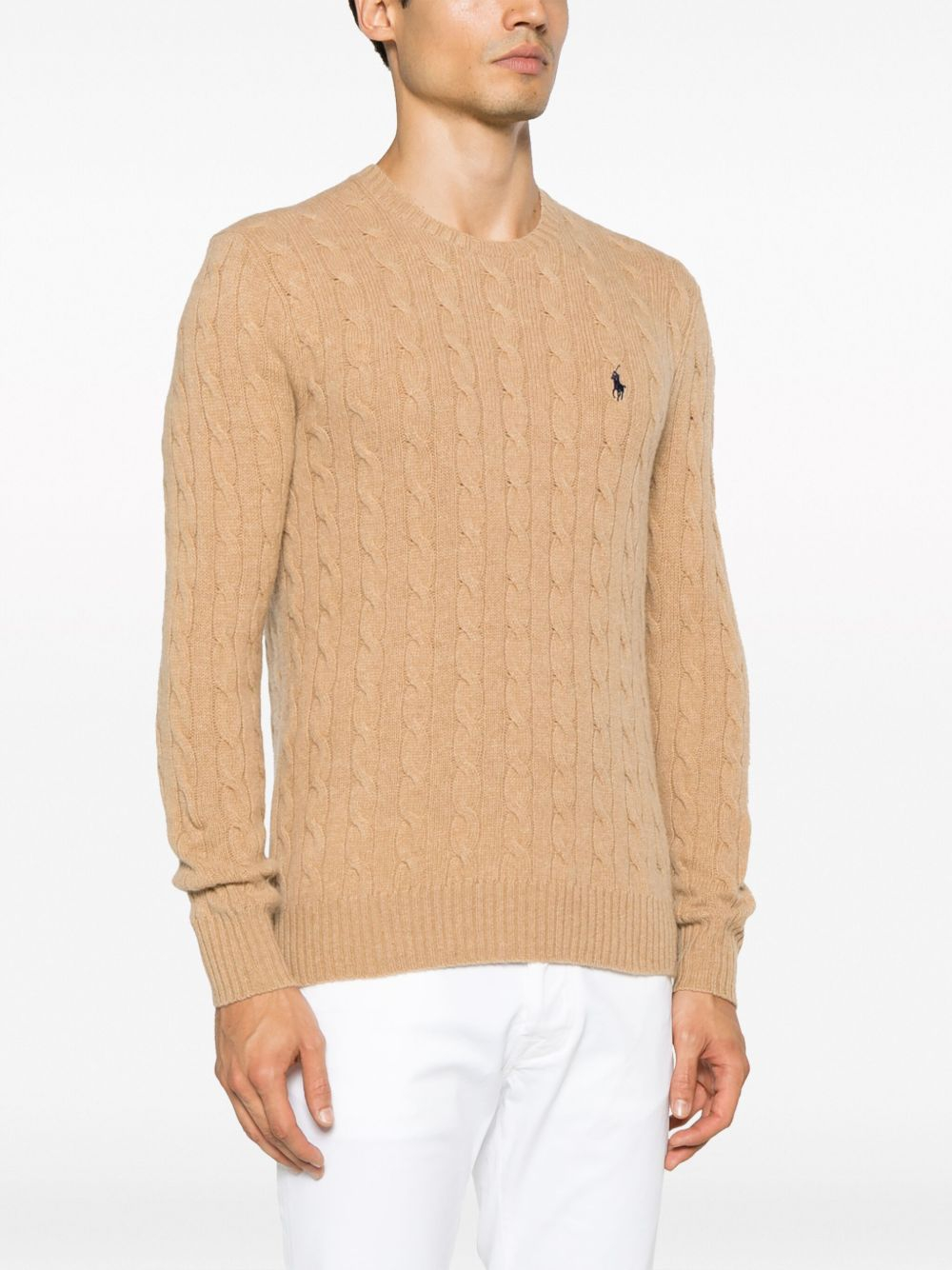 [Polo Ralph Lauren] Knitwear FW26 710876762 009