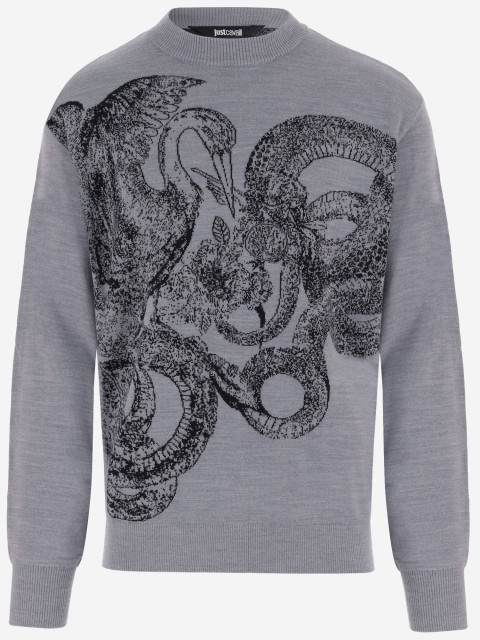 [Just Cavalli] Knitwear FW26 81OAFM09CMN78827