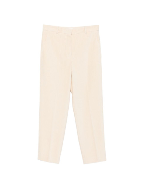 [Circolo 1901] Pants FW26 FD40791390